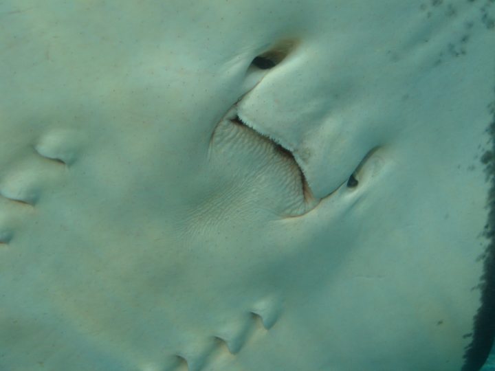 DSC06312.JPG
