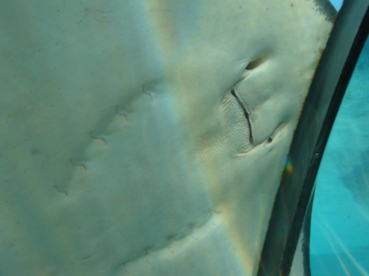 DSC06313.JPG