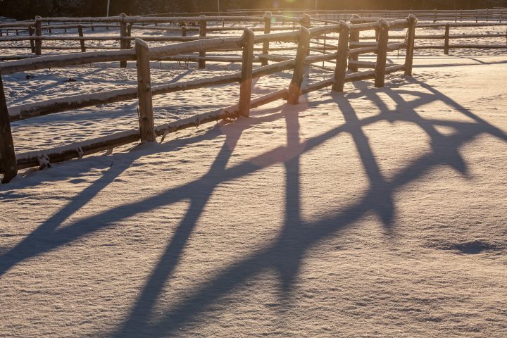 The Farm