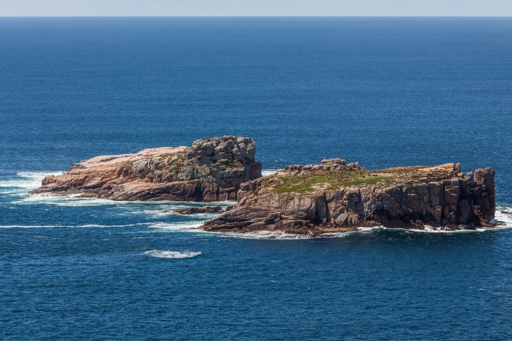 The Nuggets Islands Off Coast Of Tasmania Australia 020