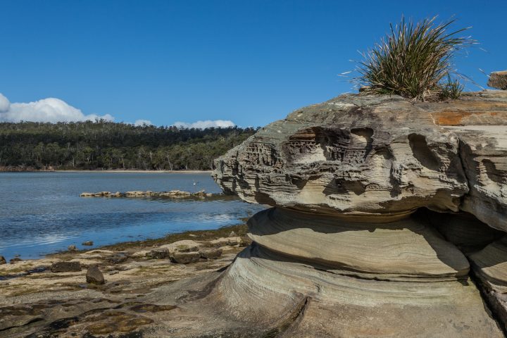 Lime Bay Tasmania