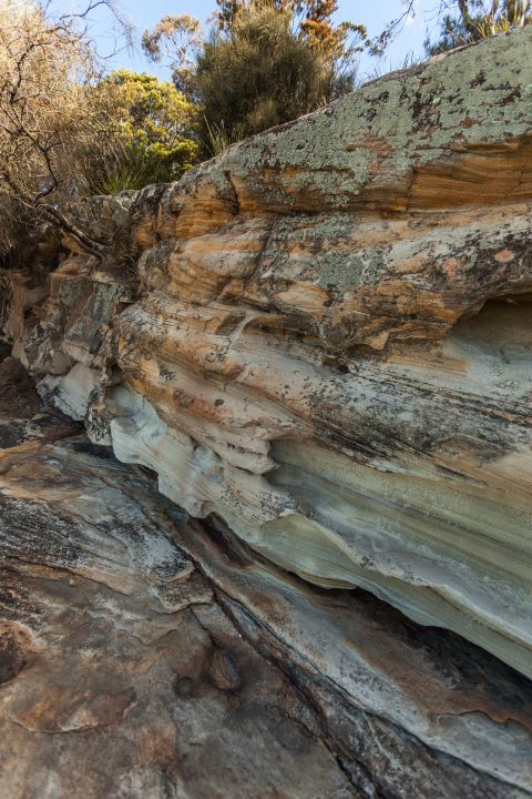 Lime Bay Tasmania