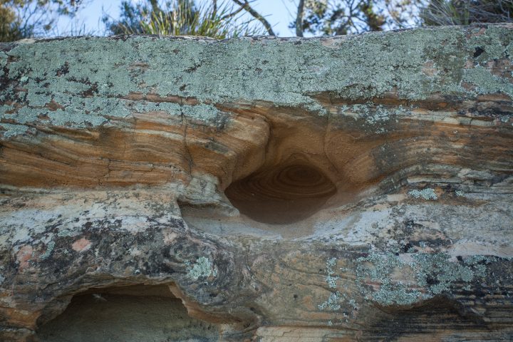 Lime Bay Tasmania