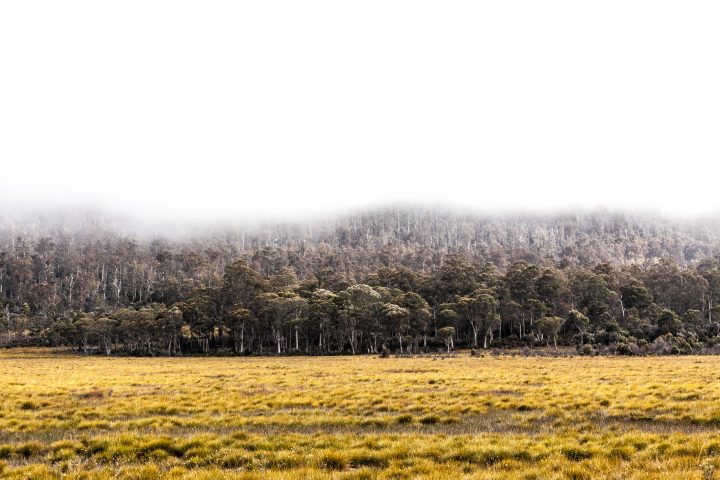 Hobart Tasmania