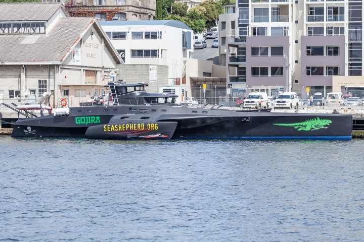Sea Shepherd Gojira in Port