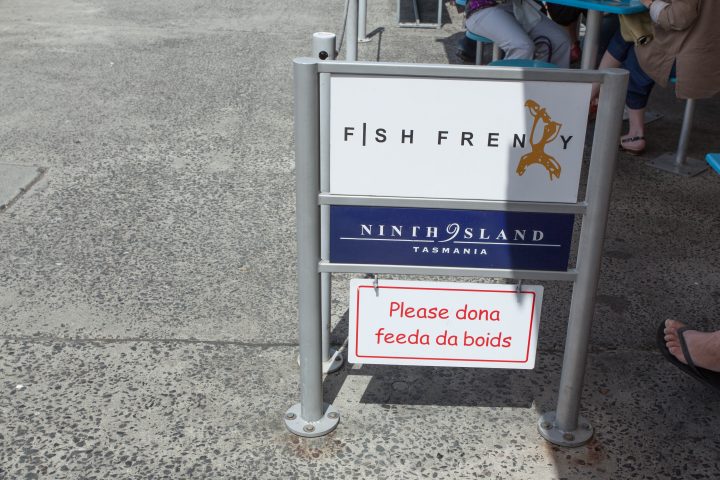 Please Dona Feeda Da Boids