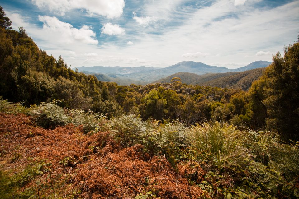 Landscape Tasmania