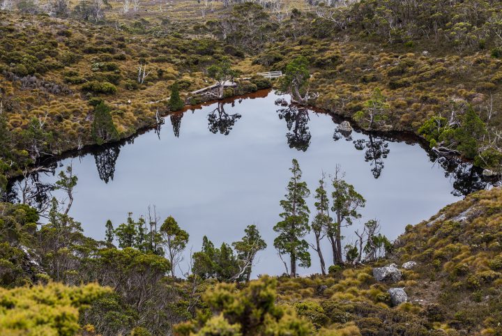 Lake Cradle Mountain Tasmania