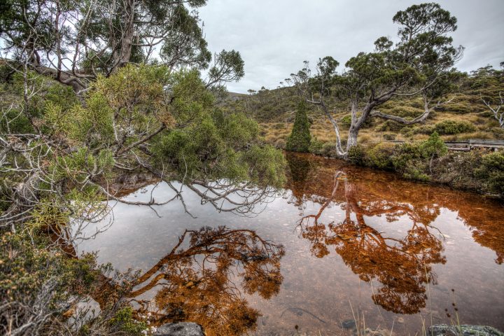 Colorful Pond Cradle Mountain Tasmania