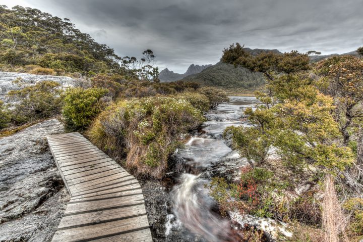 Stream Cradle Mountain Tasmania