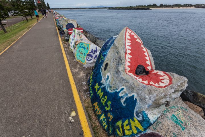 Shark Rock Art Port Macquarie