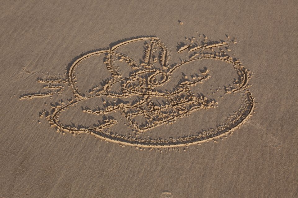 Dorothy's Garfield Drawing Smoky Cape Australia