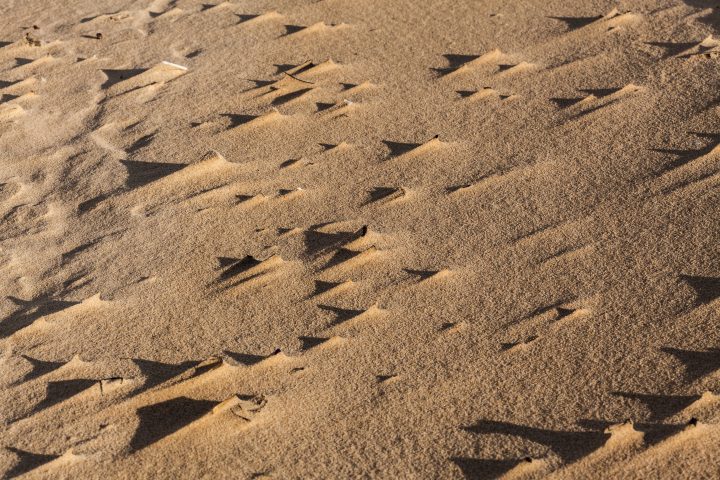 Sand Shadows Smoky Cape Australia