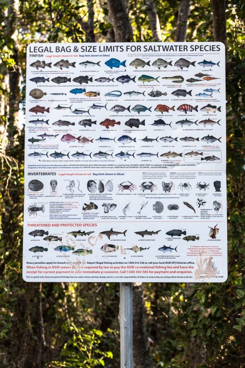 Legal Bag & Size Limits For Saltwater Species Smoky Cape New South Wales Mid-North Coast Australia