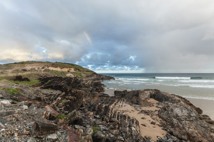 The Beach Coffs Harbour