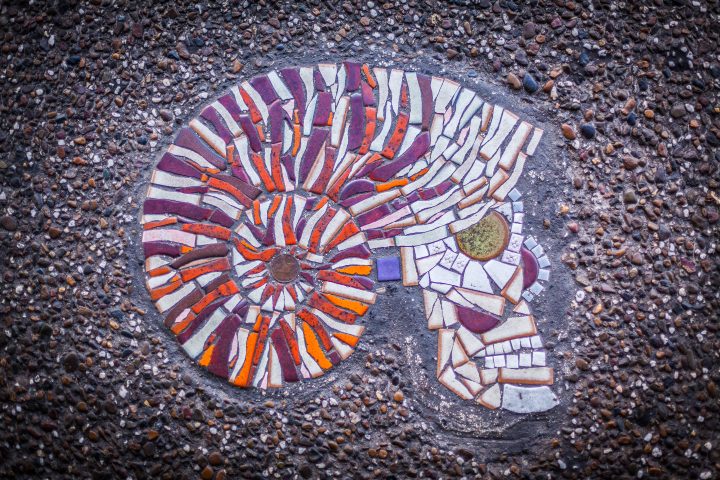 Skull Tile Art Byron Bay Australia