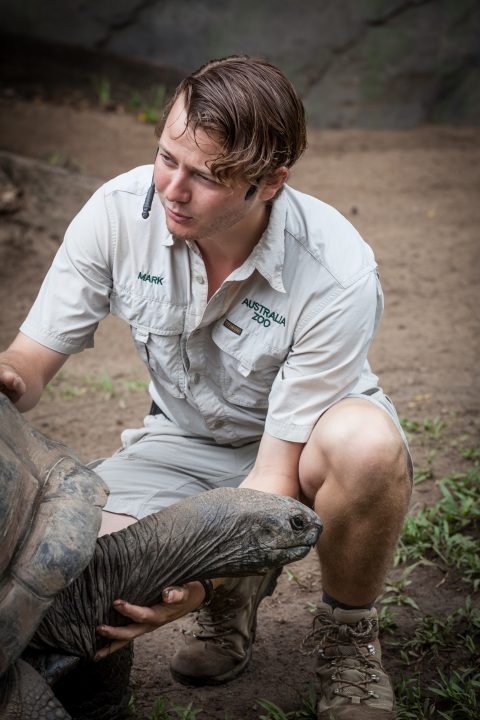 Zookeeper Mark and Tortoise Australia Zoo