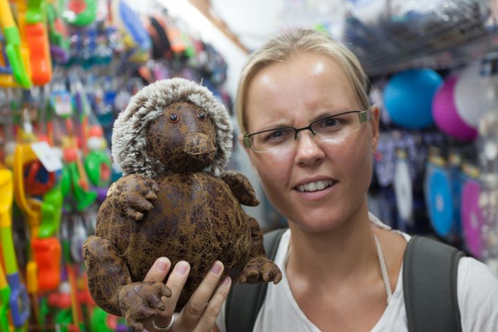 Weird Thing In Gift Shop Whitsunday Islands Australia