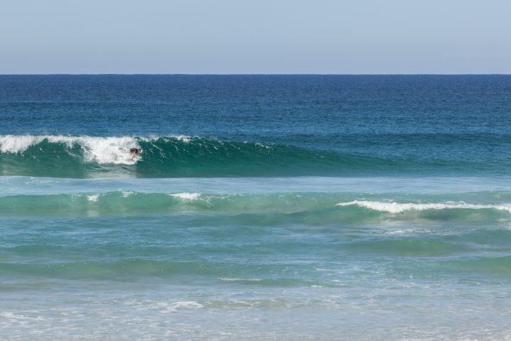 Surfer
