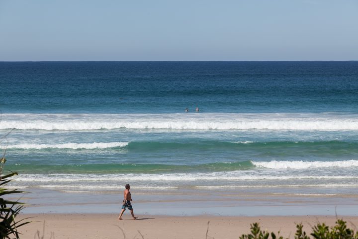 Surfers and Dolphins