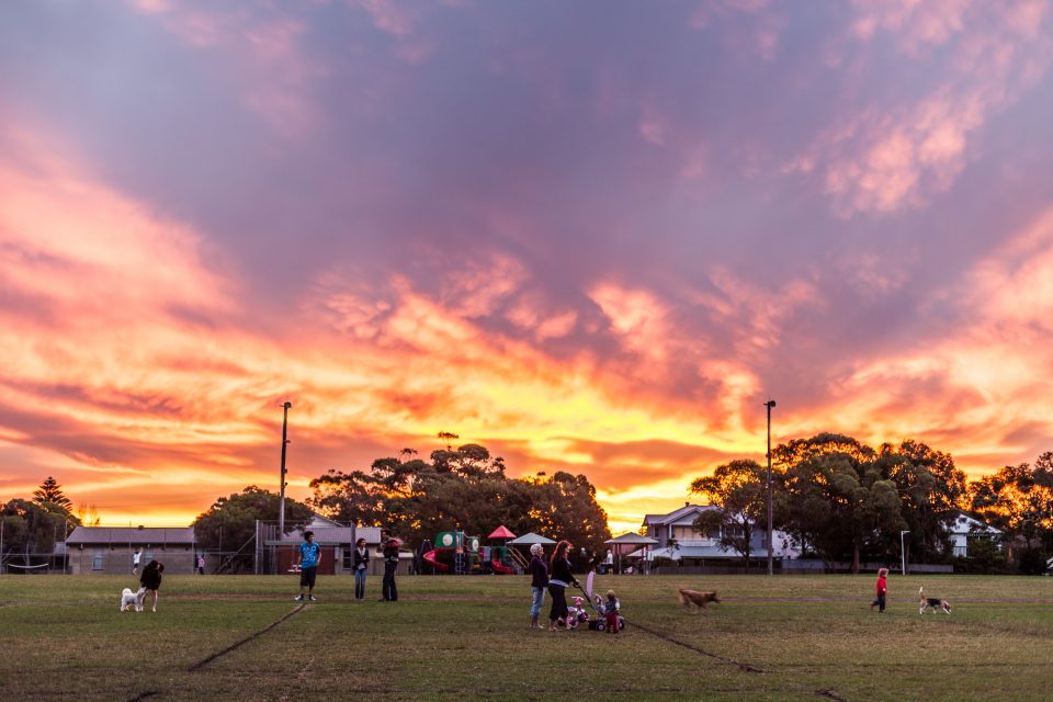 Collaroy Plateau Sunset at the Park