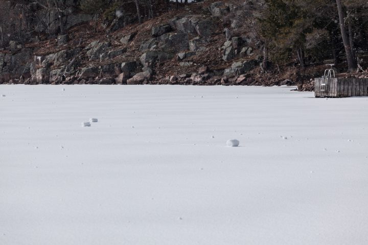 Snow Rollers, Snowballs made by the wind!