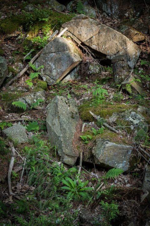 Rick Outcrop 1000 Islands
