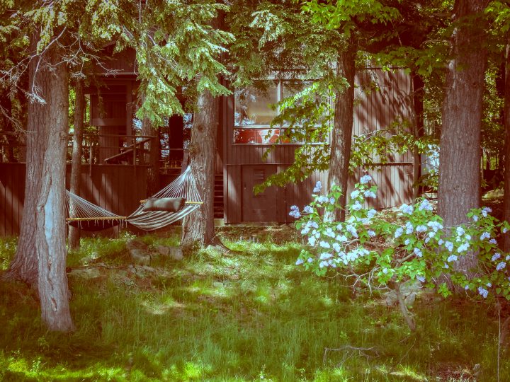 The Cottage and Hammock 1000 Islands