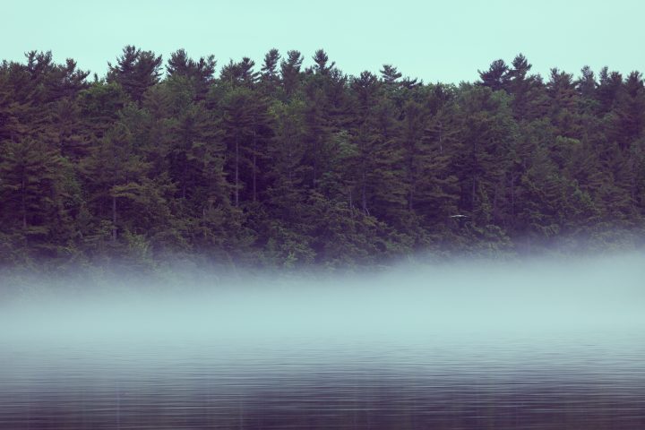 Mist 1000 Islands