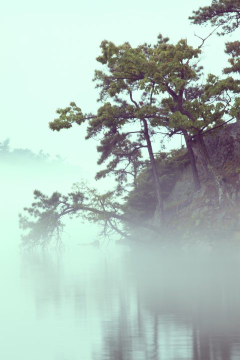 Misty Morning 1000 Islands