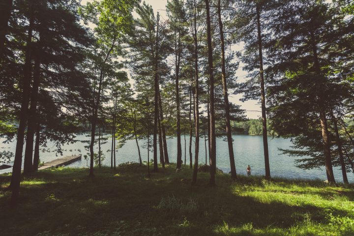 Time for a Swim 1000 Islands
