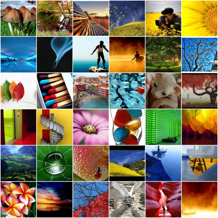 36 of the “most interesting” photos tagged with “catchycolors”