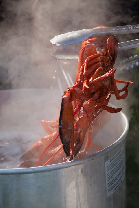 Lobster Pot