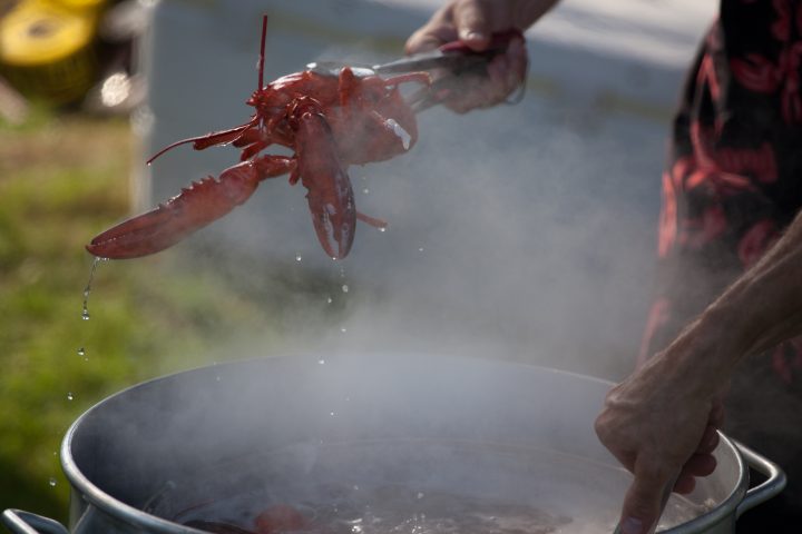 Lobster Pot