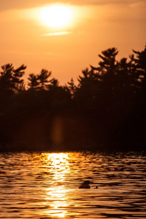 1000 Islands Sunset