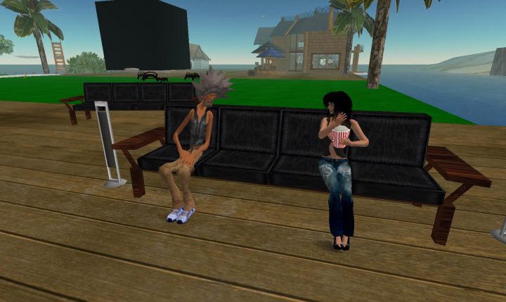 SL The massively multiplayer game