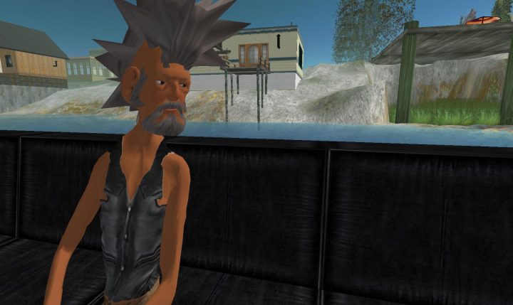 SL The massively multiplayer game