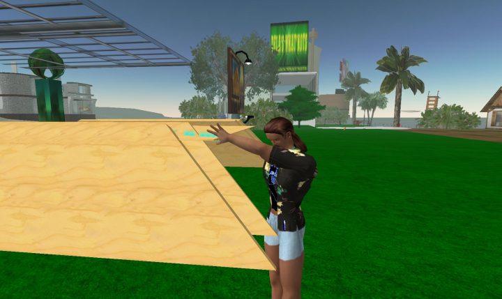 SL The massively multiplayer game