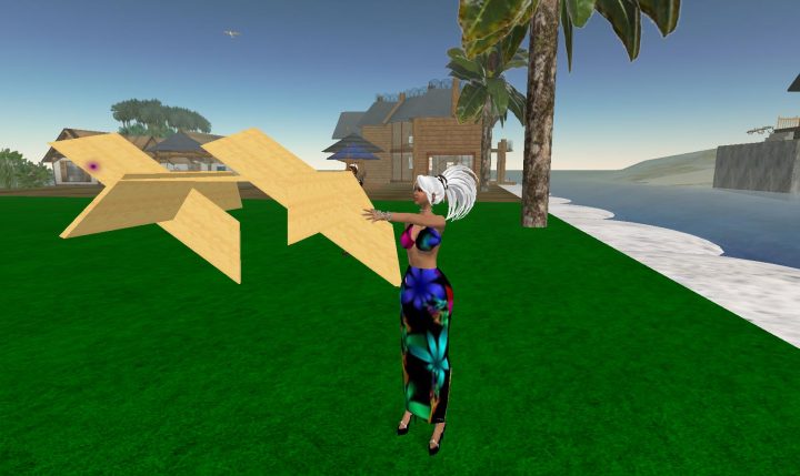 SL The massively multiplayer game