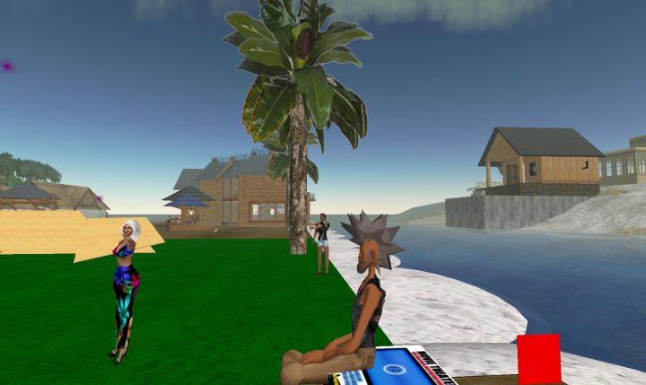 SL The massively multiplayer game