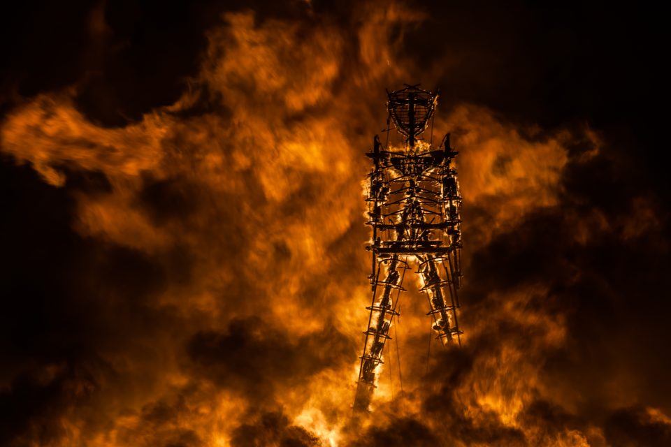 Lion Pouncing On The Man Burning Man 2013