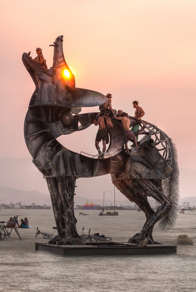 Coyote by Bryan Tedrick Burning Man 2013