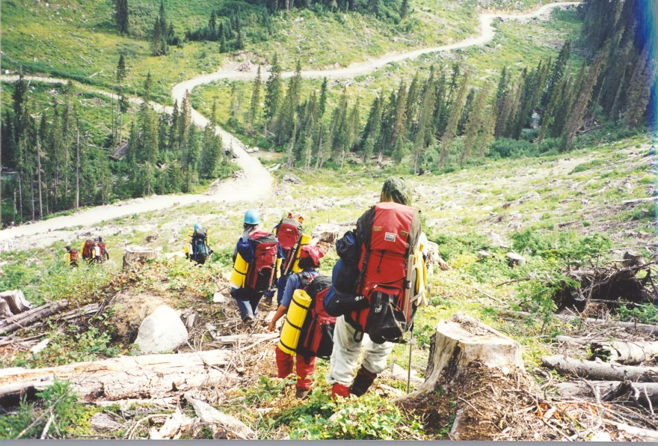 hiking through deforested area Outward Bound Western Canada August 2-22 1997 scan0096