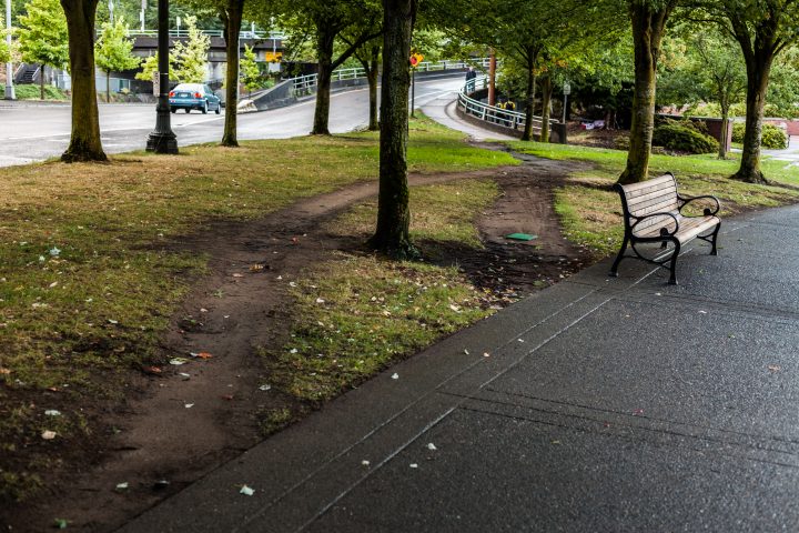Example Of Desire Paths