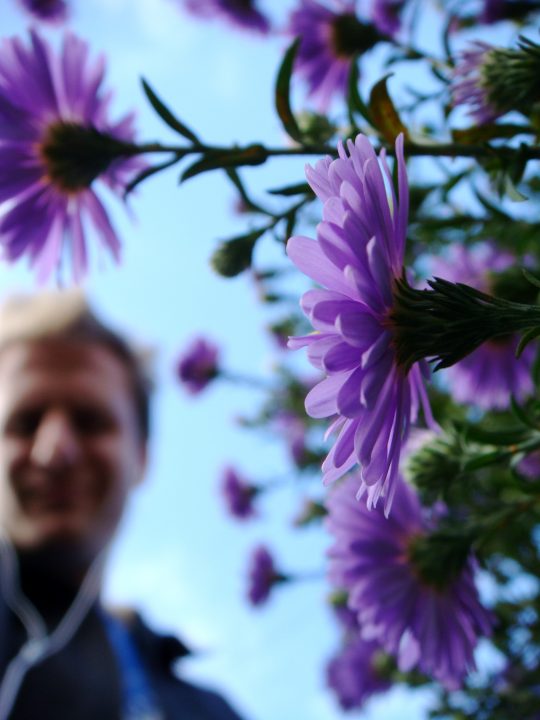 Flowers And Bugs