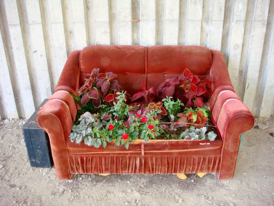 Couch Turned Into A Flower Garden
