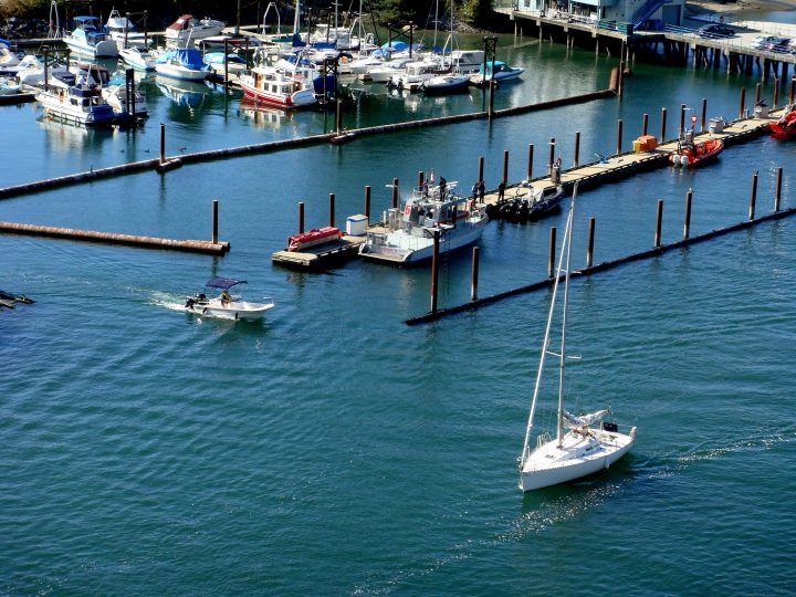 Sailing Vancouver