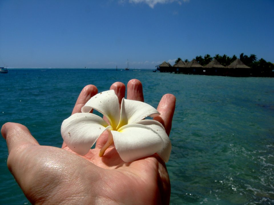 Holding a Flower