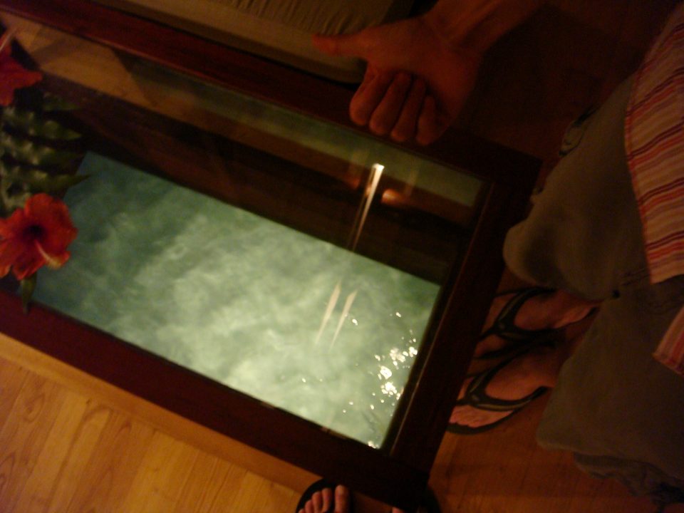 Untitled Photo 495