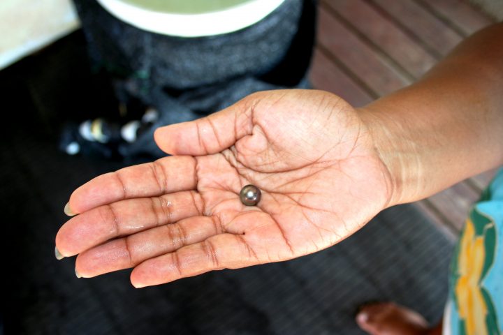 black pearl tahiti